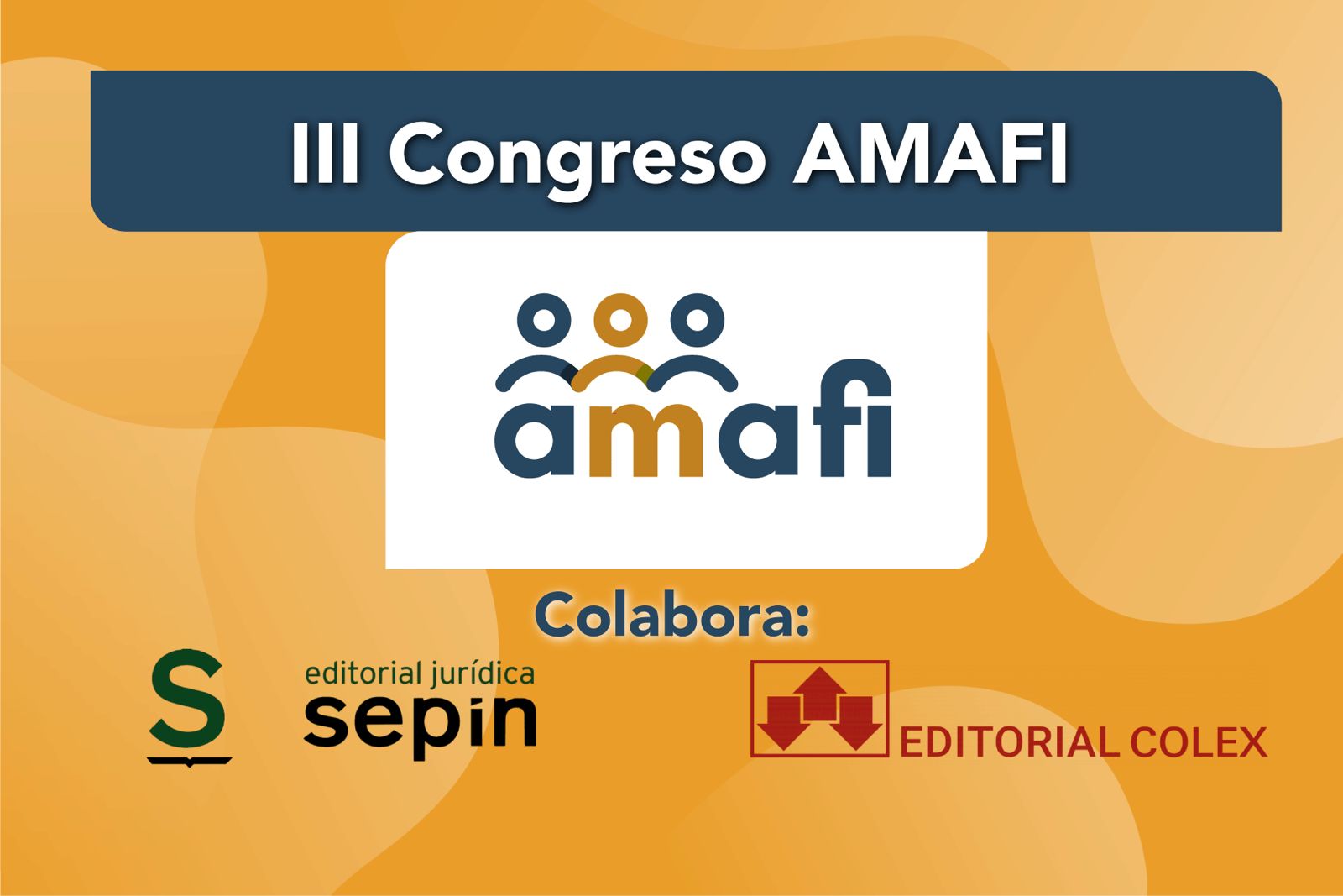 III Congreso AMAFI